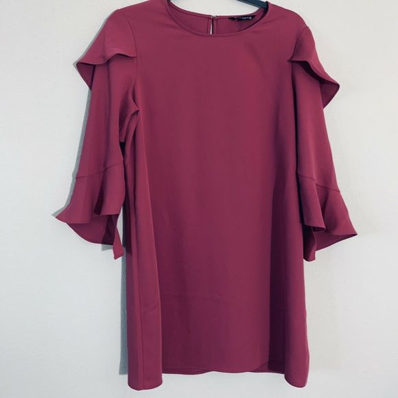 Express Dresses & Skirts - Express Rose Ruffle Long Sleeve Sheath Dress